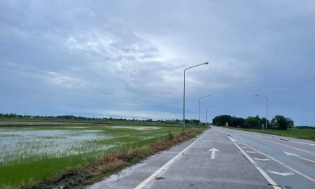ขายที่ดิน - ขายที่ดินบางแก้ว แปดริ้วเนื้อที่ 9 ไร่ ซอยบางขวัญ17 ใกล้แยกสตาร์ไลท์(วังตะเคียน)-9กม. เมืองฉะเชิงเทรา