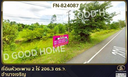 ขายที่ดิน - ที่ดินหัวตะพาน 2 ไร่ 206.3 ตร.ว. อำนาจเจริญ ใกล้โรงพยาบาลตะพานหิน