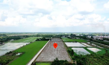 ขายที่ดิน - ขาย ที่ดินไทรใหญ่ ไทรน้อย ซอยปลายคลองขุนศรี ถนนฤชุพันธุ์ ใกล้ถนนบางบัวทอง-สุพรรณบุรี ต.ไทรใหญ่ อ.ไทรน้อย นนทบุรี