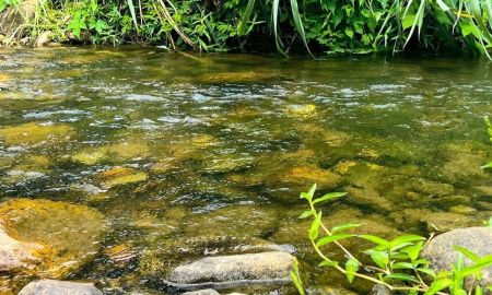 ขายที่ดิน - ที่ดินติดห้วยเกษม 2 ไร่ วิวภูเขา หนองหญ้าปล้อง ที่ดินสวยมากๆๆ