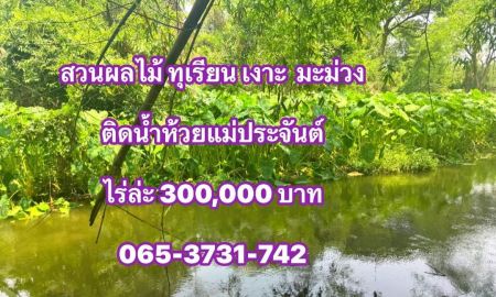 ขายที่ดิน - ที่ดินติดลำห้วยแม่ประจันต์ ราคาถูก มากๆๆ วิวเขาสวย