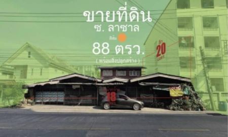 ขายที่ดิน - ขายที่ดินลาซาล สุขุมวิท105 88ตร.ว หน้ากว้างติดถนนหลักลาซาล ตัดไปเส้นสุขุมวิท บางนาตราด ใกล้ BTSแบริ่ง บางนา สำนักงานSummer lasalle ดาดฟ้าลาซาล Bitec