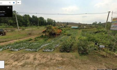 ขายที่ดิน - ขายที่ดินสวย ทำเลทอง อ.ภูเรือ จ.เลย ติดถนนใหญ่สาย 21 ห่างตัวอำเภอแค่ 3 กม.