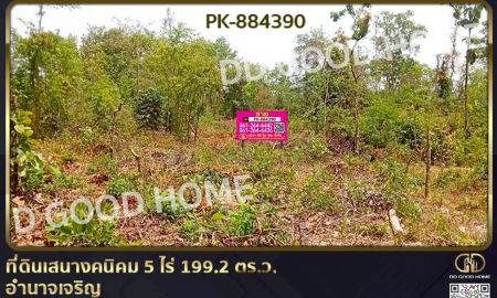 ขายที่ดิน - ที่ดินเสนางคนิคม 5 ไร่ 199.2 ตร.ว. อำนาจเจริญ ใกล้วัดนาเวียง