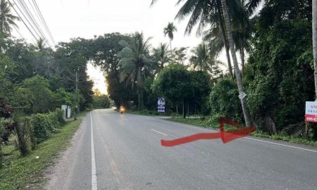 ขายที่ดิน - ขายที่ดิน อ.หลังสวน จ.ชุมพร ใกล้แยกคอกเป็ด