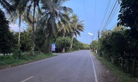 ขายที่ดิน - ขายที่ดิน ต.ขันเงิน 87.2 ตรว อ.หลังสวน จ.ชุมพร
