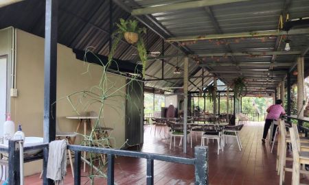 ขายที่ดิน - ขายที่ดินติดริมแม่น้ำท่าจีน สมุทรสาคร อำเภอบ้านแพ้ว ตำบลสวนส้ม 5 ไร่ 3 งาน ไร่ละ 6 ล้านบาท เจ้าของขายเอง