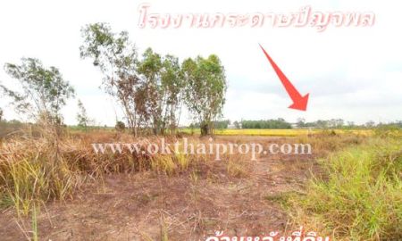 ขายที่ดิน - ที่ดิน ถนน3111 ต.ห่อหมก อ.บางไทร จ.อยุธยา