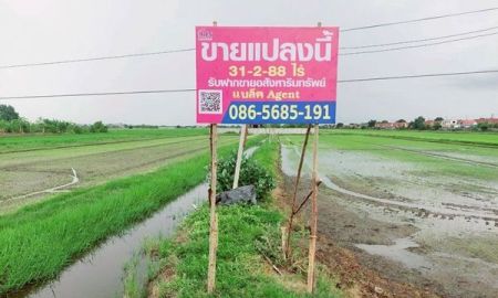ขายที่ดิน - ขายที่ดิน 31 ไร่ ติดถนนคลอง 8 ลำลูกกา ปทุมธานี ใกล้วัดดอนใหญ่