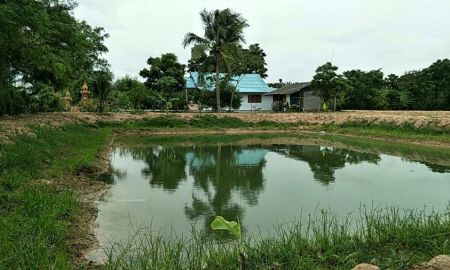 ขายที่ดิน - บ้านสวนพร้อมที่ดิน5ไร่ราคาถูก เจ้าของขายเอง ที่ดินสวยปลูกทุกอย่างขึ้น
