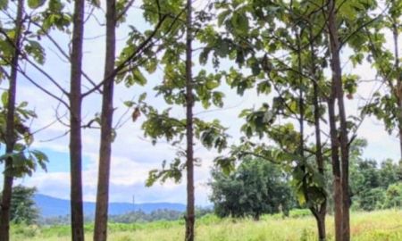 ขายที่ดิน - ที่ดินพร้อมสวนสัก โฉนด ติดทางสาธารณะ อุตรดิตถ์