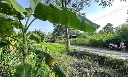 ขายที่ดิน - ขายที่ดินตำบลแม่เหียะติดถนนห่างมหาวิทยาลัยเชียงใหม่ 12 นาที