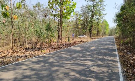 ขายที่ดิน - ขายที่ดิน 17ไร่ 97 ตร.วา โฉนดติดถนน4042บ้านโป่ง-บ้านปากกอง นาโปง เถิน ลำปาง