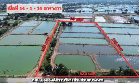 ขายที่ดิน - ขายที่ดิน 14 ไร่ 1 งาน 14 ตร.วา. ใกล้โรบินสันแปดริ้ว และวัดโสธรวราราม ต.บางพระ อ.เมืองฉะเชิงเทรา จ.ฉะเชิงเทรา
