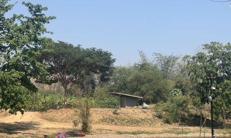 ขายที่ดิน - ที่ดินติดแม่น้ำเพชรบุรี 1 ไร่ ราคาถูก โซนแก่งกระจาน รีสอร์ท ล้อมรอบ