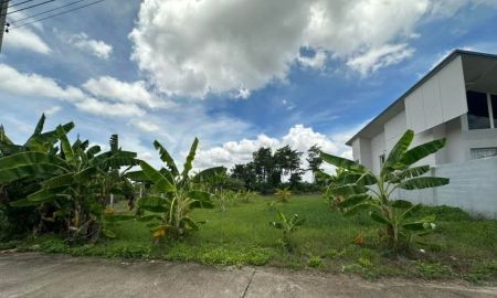 ขายที่ดิน - ขายที่ดินตำบลต้นเปาสันกำแพงในหมู่บ้านสันป่าค่าพร้อมโอน