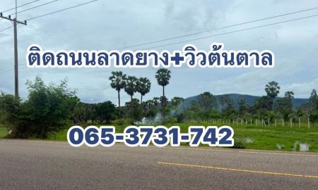 ขายที่ดิน - ที่ดินติดถนนลาดยาง บ้านลาด เพชรบุรี วิวเขา วิวต้นตาล