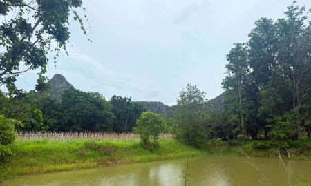 ขายที่ดิน - ที่ดินเขาย้อย ที่ดินวิวเขาอีโก้ วิวเขาอีบิด