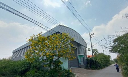 ขายโรงงาน / โกดัง - ขายโกดัง ตำบลคลองสาม อำเคลองหลวง ปทุมธานี ข้างวัดพระธรรมกาย