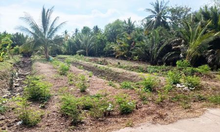 ขายที่ดิน - ขายที่ดินเปล่าราคาถูก 524.5 วา จังหวัดสมุทรสงคราม ใกล้กรุงเทพเพียง 74 กม.