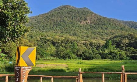 ขายที่ดิน - ขายที่ดินตำบลออนกลางแม่ออนวิวดอยโฉนดพร้อมโอน