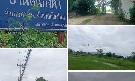 ขายที่ดิน - ขายที่ดินตำบลแม่สบข่าหางดงทำเลขายยกแปลงพร้อมโอน