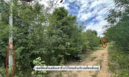 ขายที่ดิน - ขายที่ดินกาญจนบุรี 2 ไร่ 31 ตารางวา ตำบล ลาดหญ้า อำเภอ เมืองกาญจนบุรี