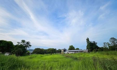 ขายที่ดิน - ขายที่ดินตำบลสันทรายห่างเทศบาลหนองแหย่งเพียง 800เมตร