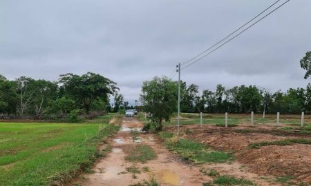 ขายที่ดิน - ขายที่ดิน ราคาถูก 200 ตร.วา ต.หนองตาด อ.เมือง จ.บุรีรัมย์