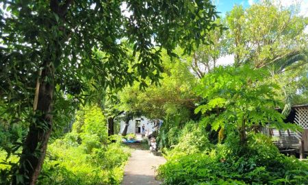 ขายที่ดิน - ขายที่ดินถนนสุขุมวิท ย่านปรีดีพนมยงค์ 348 ตร.ว. คลองตันเหนือ วัฒนา