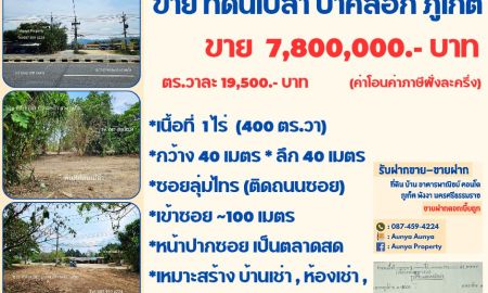 ขายที่ดิน - ขาย ที่ดินเปล่า ซอยลุ่มไทร เข้าซอย 100 เมตร ป่าคลอก ถลาง ภูเก็ต