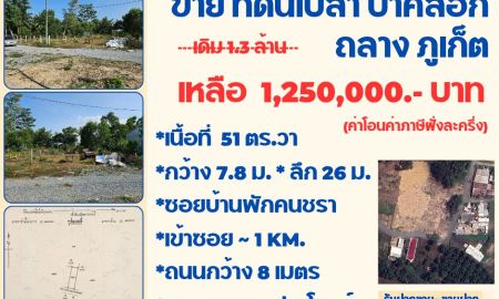 ขายที่ดิน - ขาย ที่ดินเปล่าซอยท่าหลา ป่าคลอก ถลาง ภูเก็ต
