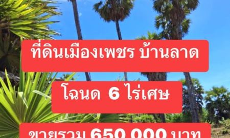 ขายที่ดิน - ที่ดินบ้านลาดวิวต้นตาลสวย หลังติดลำห้วย โฉนดพร้อมโอน