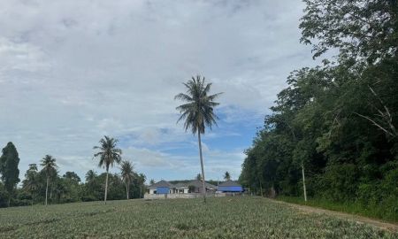 ขายที่ดิน - ขายที่ดินทำเลทองระยอง นิคมพัฒนา พื้นที่สีม่วงลาย 2 ไร่ ใกล้นิคม WHA และโรงงาน BYD ระยอง