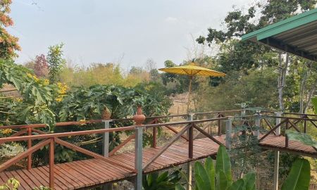 ขายที่ดิน - ขายที่ดินพร้อมสวนลำไย ได้บรรยากาศเงียบสงบใกล้แม่น้ำปิง