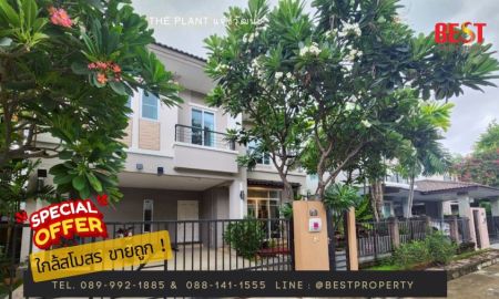 ขายบ้าน - บ้านเดี่ยวรีโนเวทใหม่ The Plant แจ้งวัฒนะ พร้อมเข้าอยู่ ทำเลดี เดินทางง่าย ใกล้สถานีรถไฟฟ้า ทางด่วน และ IMPACT เมืองทอง