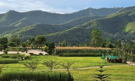 ขายบ้าน - ขายที่ดินพร้อมบ้านพักตากอากาศ วิวเขาล้อมรอบ เงียบสงบ ตรงข้ามวัดท่าตอน จ.เชียงใหม่