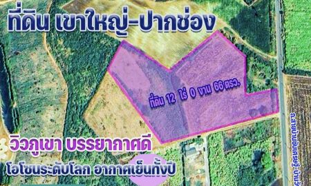 ขายที่ดิน - ขายที่ดิน เขาใหญ่-ปากช่อง 12 ไร่ จ.นครราชสีมา