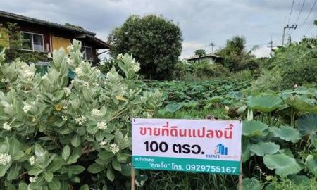 ขายที่ดิน - ขายที่ดินเปล่า ขนาด 100 ตรว. แปลงหัวมุม จ.ปทุมธานี อ.ลาดหลุมแก้ว