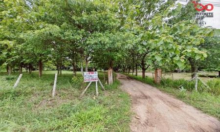 ขายบ้าน - ขายบ้านเดี่ยว 1 ชั้น บ้านสวนวังไทร พร้อมที่ดิน 5 ไร่ 84 ตร.วา ติดคลอง ปากช่อง ใกล้เขาใหญ่ ทำเลวิวธรรมชาติ
