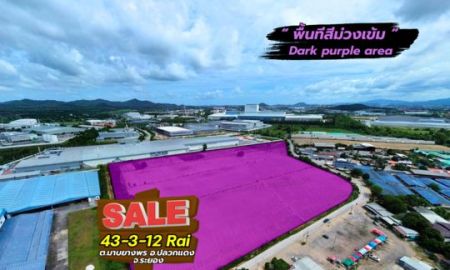 ขายที่ดิน - ขายที่ดินพื้นที่สีม่วงเข้มสำหรับโรงงานอุตสาหกรรม ระยอง