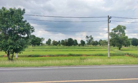ขายที่ดิน - ขายที่ดินเมืองนครราชสีมา อ.ชุมพวง ต.โนนรัง บ้านหนองสะแก 20 ไร่ ติดถนน 2223 หน้ากว้างติดถนน 500 ม.