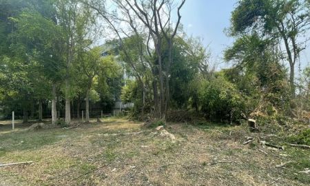 ขายที่ดิน - ขายที่ดิน 277 ตรว. จังหวัดเชียงใหม่ อำเภอเมืองเชียงใหม่ ตำบลฟ้าฮ่าม (น้ำไม่ท่วม) เจ้าของขายเอง