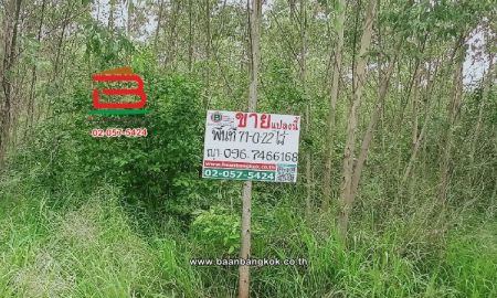ขายที่ดิน - ที่ดินเปล่า ตำบลท่าบุญมี (สี่แยกเกาะโพธิ์) เนื้อที่ 71-0-22 ไร่ (ใกล้อ่างเก็บน้ำคลองหลวงรัชชโลทร) ตำบลท่าบุญมี อำเภอเกาะจันทร์ จังหวัดชลบุรี