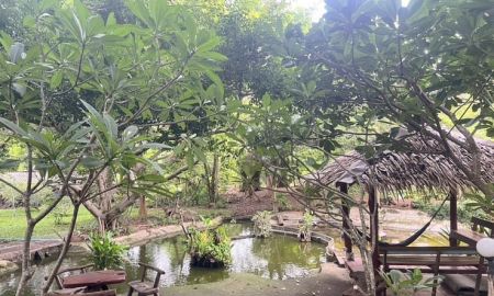 ขายที่ดิน - ขาย บ้านสวน 4 ไร่ 2 งาน ตำบลซับจำปา อำเภอท่าหลวง จังหวัดลพบุรี