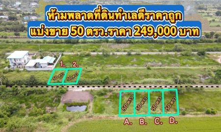 ขายที่ดิน - ขายที่ดิน แปลงเล็ก 50 ตร.ว.หนองเสือ ปทุมธานี