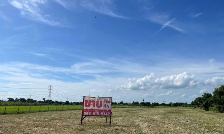 ขายที่ดิน - ขายที่ดินเปล่าถมแล้ว 4 ไร่ พร้อมโฉนด ที่ดินสวยบรรยากาศดี ถ.เลียบคลองตับผักชี ลาดหลุมแก้ว ปทุมธานี