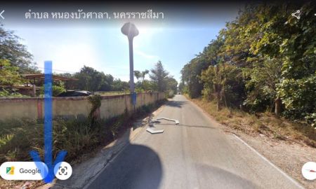 ขายที่ดิน - ขายที่ดินหนองบัวศาลา เนื้อที่ 3-0-50ไร่ ใกล้ถนนราชสีมา-โชคชัย