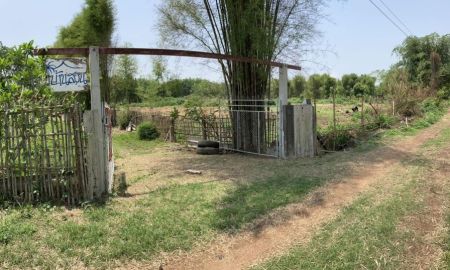 ขายบ้าน - บ้านสวน เกือบ 1 ไร่ ในบ้านแม่ปรุง แม่ทะ ลำปาง เพียง 5 แสนบาท
