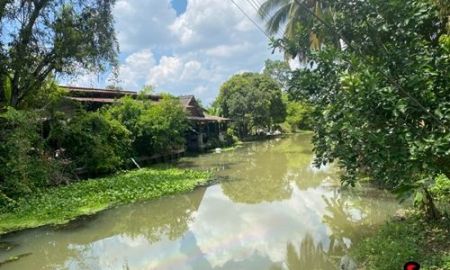 ขายที่ดิน - 13 ไร่ ติดคลองวัดประดู่ ติดทางหลวงชนบท สวนมะพร้าว 13 ไร่ 1 งาน Vายยกแปลง 12,000,000 บาท